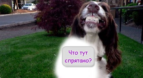 Гв.Полковник Винниченко В.Р. спецназ ВДВ. - Ф  Е  Р  Г  А  Н  А  .