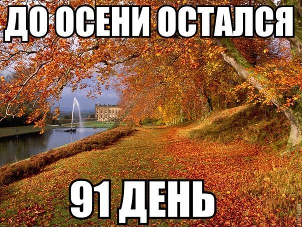 Ритм дорог(песня про Лену,Дарину,Юлю и Яну:) - Алкоголик это я
